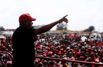 EFF Makes Significant Gains in SA Municipal&nbsp;Elections