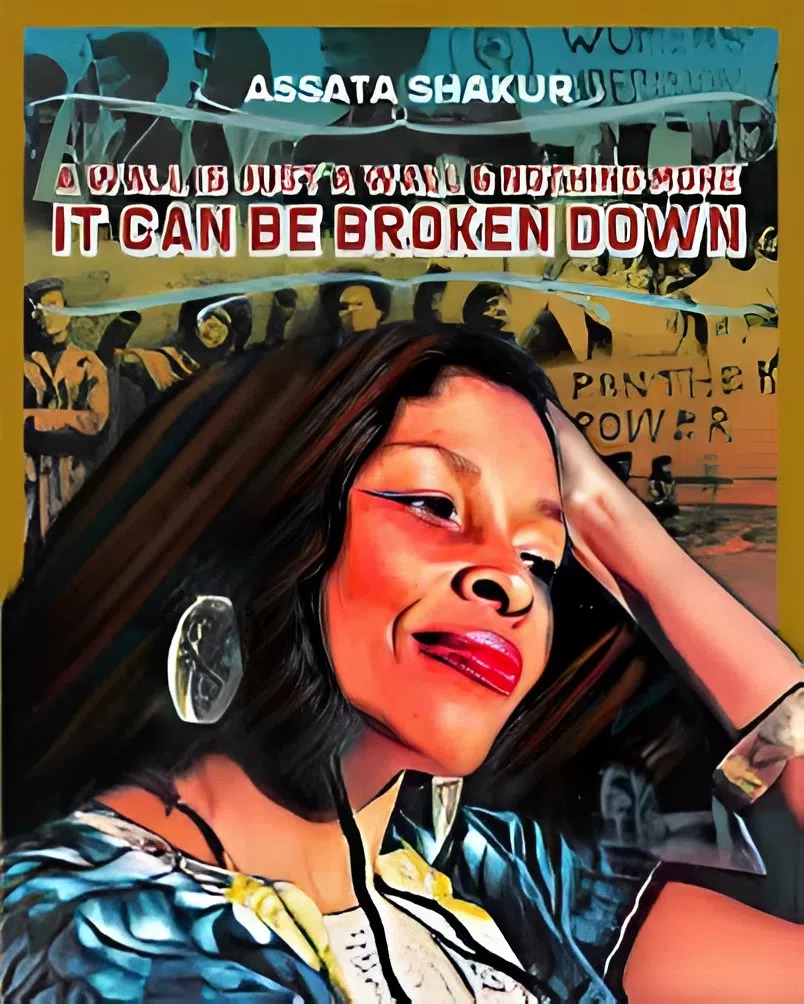 Assata Shakur Transitions