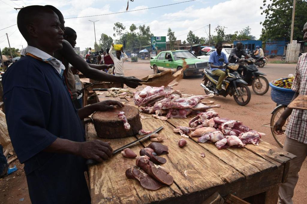 Burkina Faso’s Livestock Export Ban&nbsp;Explained