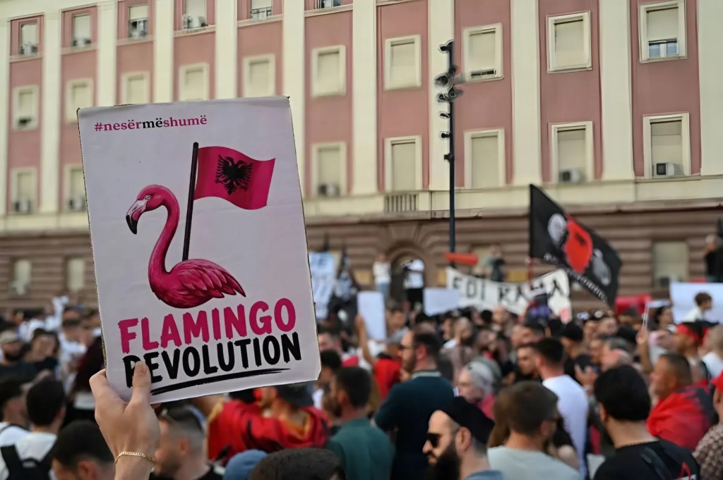 The Flamingo Revolution: Why Thousands of Albanians Are Taking to the Streets Over a Luxury Island&nbsp;Development