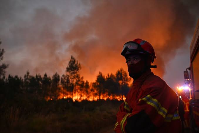 How Europe Failed to Prevent Its&nbsp;Wildfires