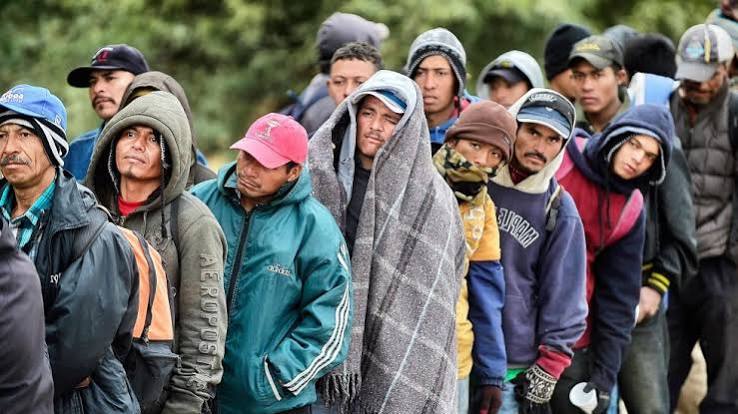How Affirmative Action Benefits Immigrants More than Actual Black Americans